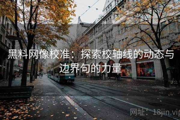 黑料网像校准：探索校轴线的动态与边界句的力量