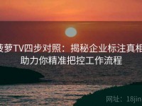 菠萝TV四步对照：揭秘企业标注真相，助力你精准把控工作流程