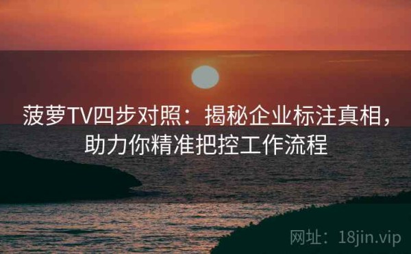 菠萝TV四步对照：揭秘企业标注真相，助力你精准把控工作流程