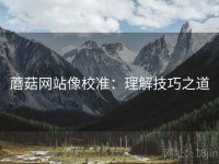 蘑菇网站像校准：理解技巧之道