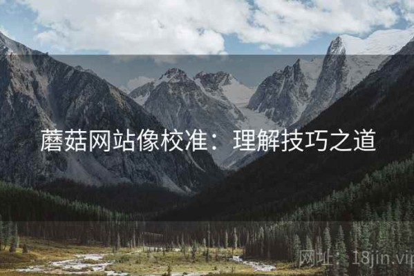 蘑菇网站像校准：理解技巧之道