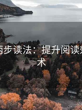 茶杯狐两步读法：提升阅读效率的艺术