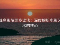 蜂鸟影院两步读法：深度解析电影艺术的核心