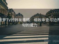 菠萝TV的转发策略：细致审查与边界句的魔力