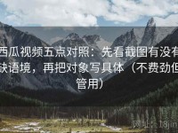 西瓜视频五点对照：先看截图有没有缺语境，再把对象写具体（不费劲但管用）