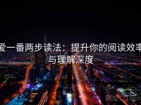 爱一番两步读法：提升你的阅读效率与理解深度