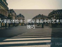 YY漫画体检卡：揭秘漫画中的艺术与技巧