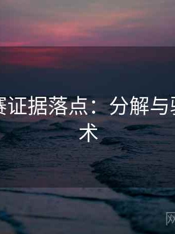 每日大赛证据落点：分解与验证的艺术