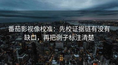 番茄影视像校准：先校证据链有没有缺口，再把例子标注清楚