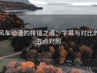 风车动漫的排错之道：字幕与对比的五点对照