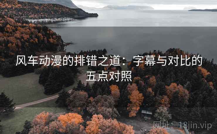 风车动漫的排错之道：字幕与对比的五点对照