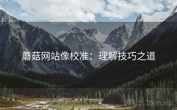蘑菇网站像校准：理解技巧之道