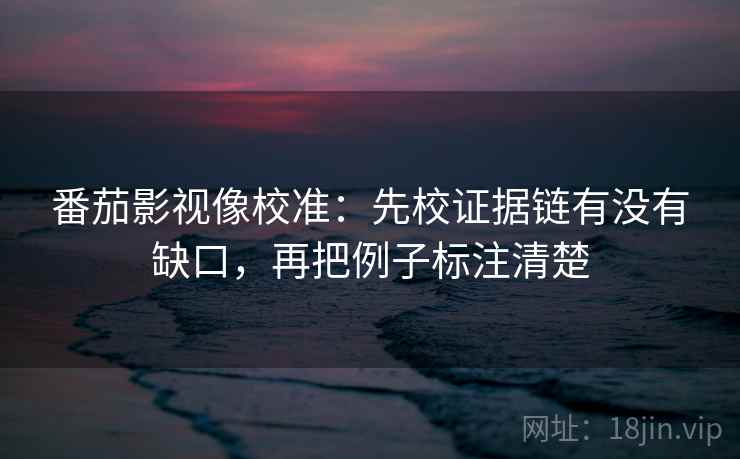 番茄影视像校准：先校证据链有没有缺口，再把例子标注清楚