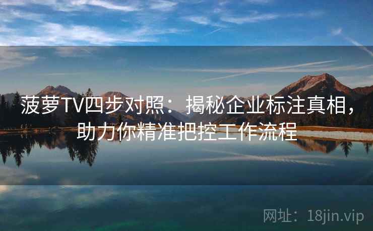 菠萝TV四步对照：揭秘企业标注真相，助力你精准把控工作流程